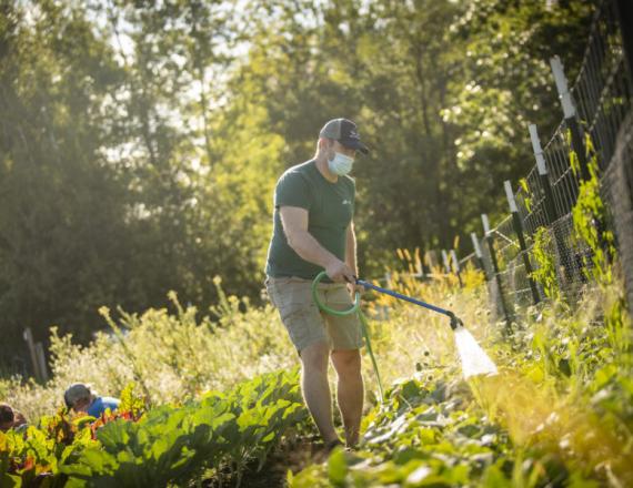 Another example of D-HH’s commitment to community flourishes on the campus of DHMC. The Farmacy Garden is a partnership between D-HH and Willing Hands, a food recovery organization that benefited from D-HH’s COVID-19 Community Relief Fund. D-H employees volunteer at the garden and the harvests help feed people in need of healthy food. (Photo by Mark Washburn)