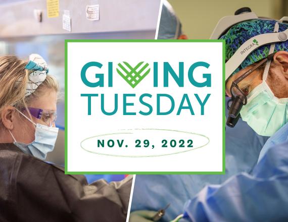 Giving Tuesday graphic
