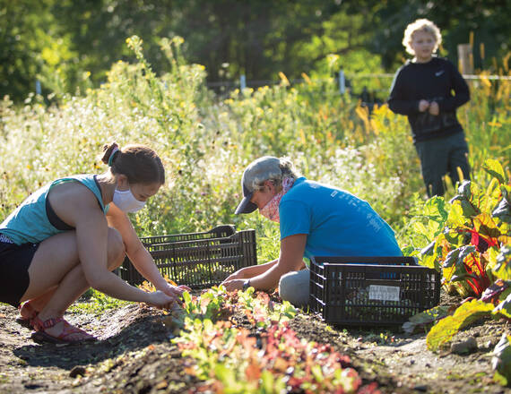 Volunteers tend the Farmacy Garden at Dartmouth Hitchcock Medical Center, an initiative to improve access to nutritious food among patients.