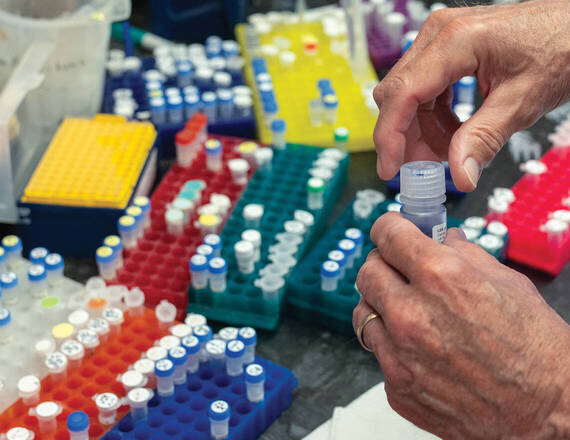 lab supplies